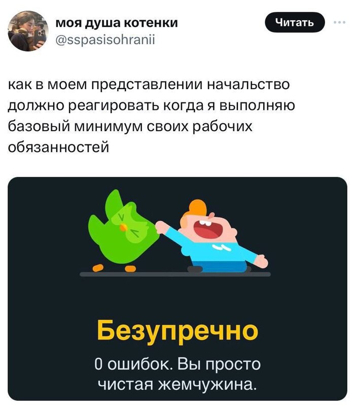 Как эта сова реагирует на косяки, начальству лучше не показывать 