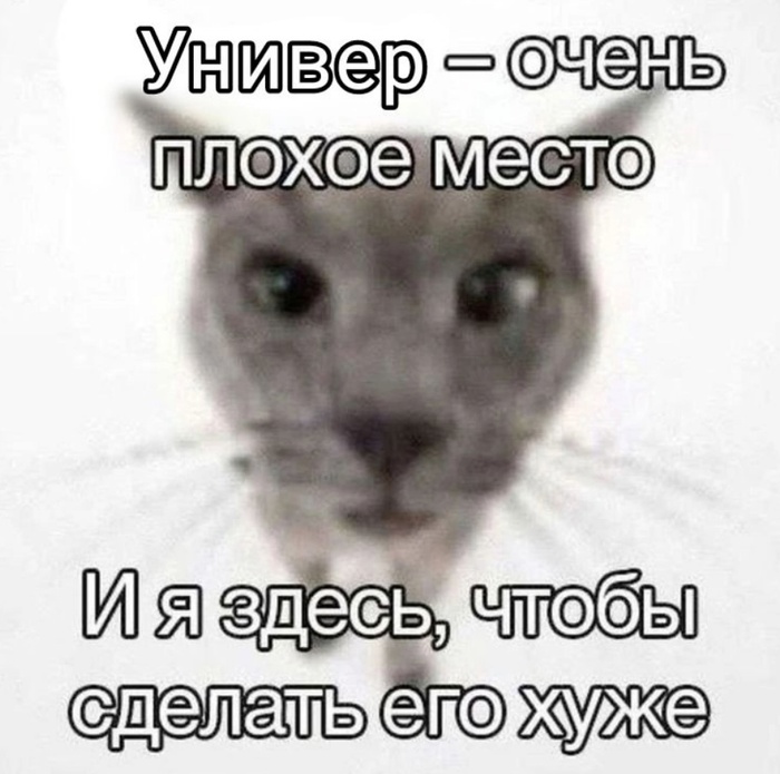 ИССЛЕДОВАНИЕ
