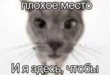 Photo of ИССЛЕДОВАНИЕ
