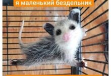 Photo of Рабочая обстановка в пятницу