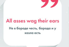 Photo of Как переведете? «All asses wag their ears»