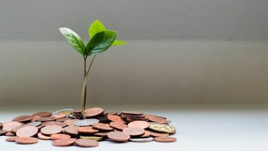 Photo of Как заработать на SEO в 2025 году: 12 эффективных стратегий