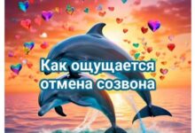 Photo of Лучше этого чувства только заветное уведомление о зачислении зарплаты