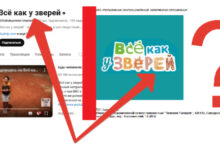 Photo of «Зверские» разборки: что делать, когда твой бренд пытаются присвоить чужие люди