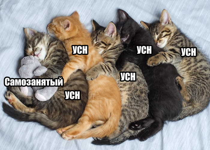 5 способов привлечь внимание налоговой: схемы, от которых бизнесу давно пора отказаться