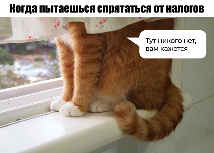 5 способов привлечь внимание налоговой: схемы, от которых бизнесу давно пора отказаться