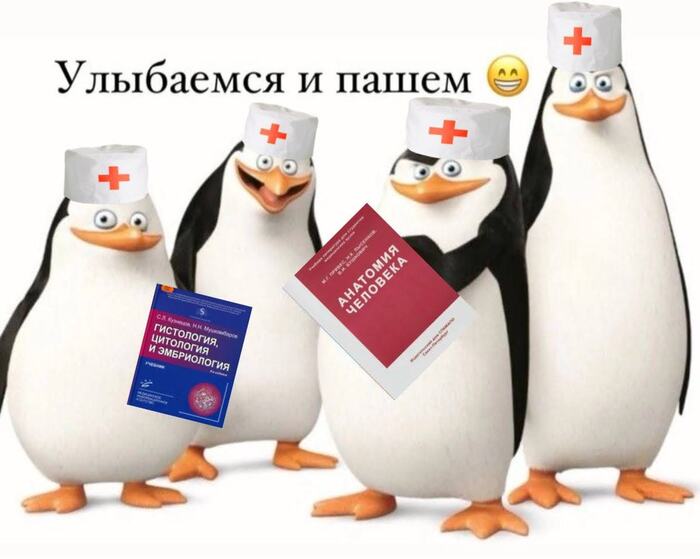 10 лучших медицинских колледжей России: куда поступить в 2026