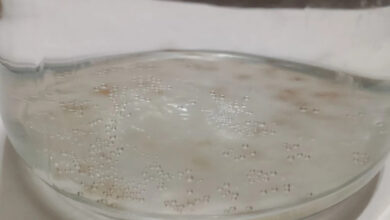Photo of «Чистая» вода за деньги — 25.03.26 19:59