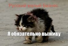 Photo of Коротко о малом бизнесе сегодня — 08.04.26 18:27